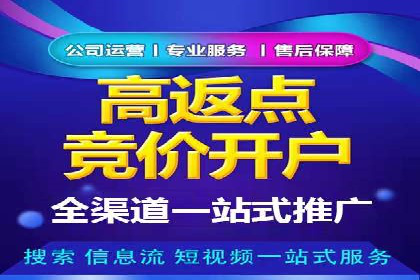 SEM代理服务：助力企业精准营销案例解析